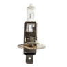 Ampoule H1 24V 70W pour Véhicules Lourds