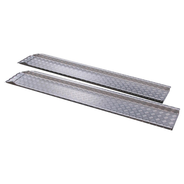 Vue complète des rampes en aluminium - qualité supérieure et design robuste.