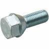 Vis 12 x 1,50 - Plat 19 mm
