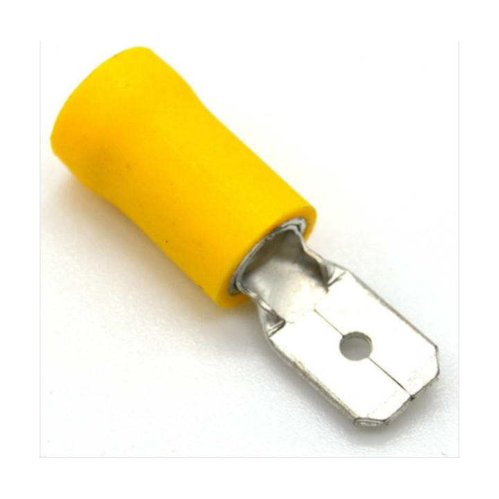 Cosses plates males jaune