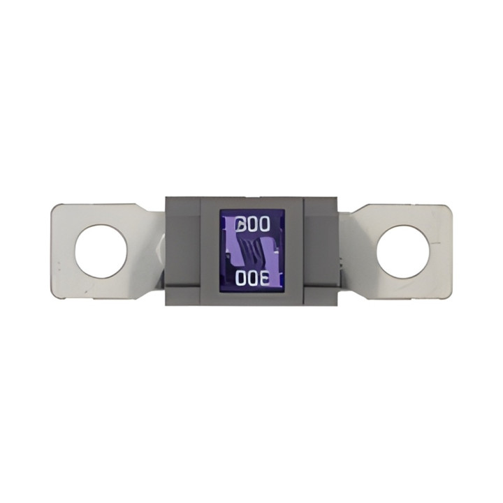 10 Fusibles Magnum 300A