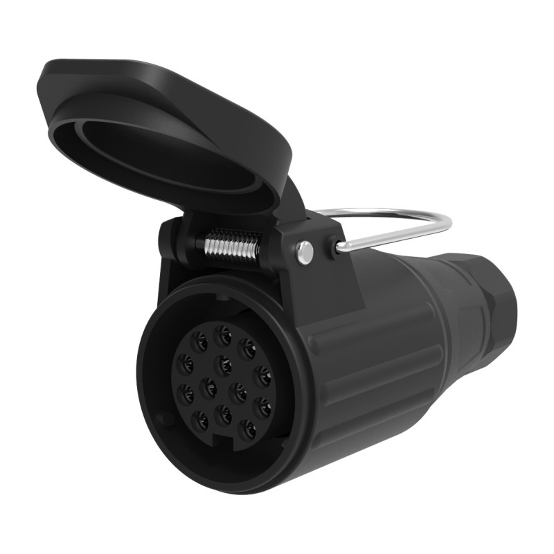 Fiche femelle 13 plots