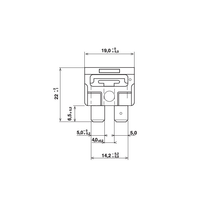 Fusible standard a broches - 5A (par 50) - Fusibles et porte-fusibles