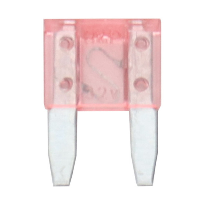 Fusible mini a broches 4A (par 50)