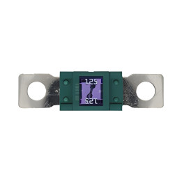 10 Fusibles Magnum 125A