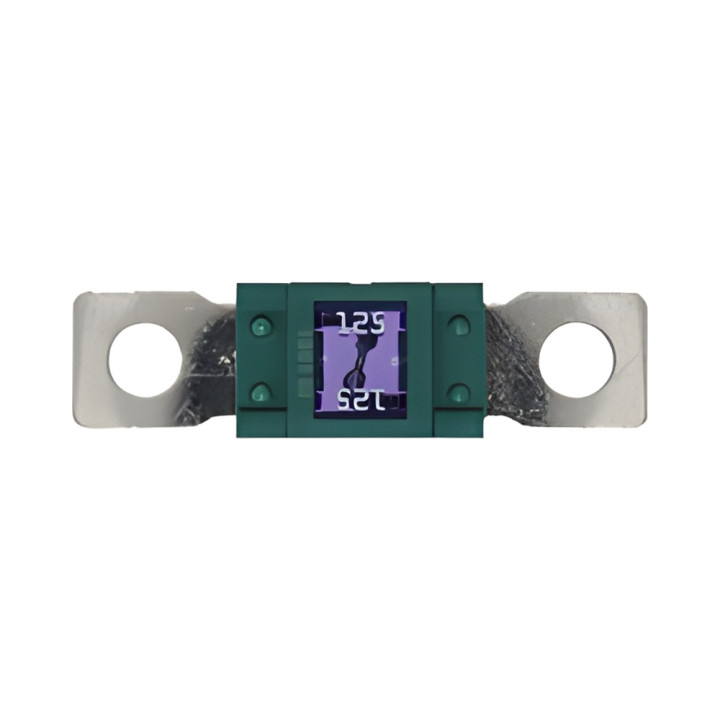 10 Fusibles Magnum 125A