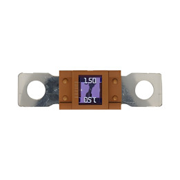 10 Fusibles Magnum 150A
