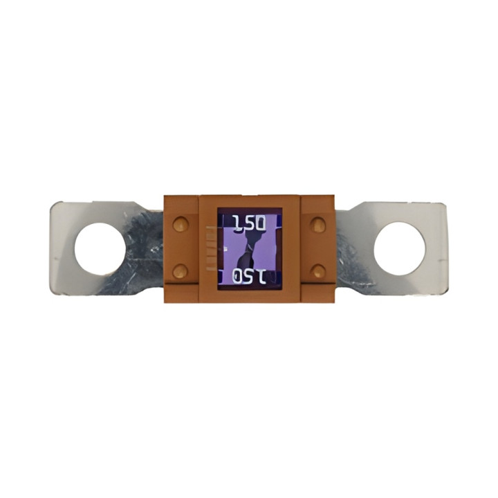 10 Fusibles Magnum 150A
