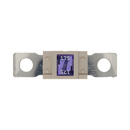 10 Fusibles Magnum 175A