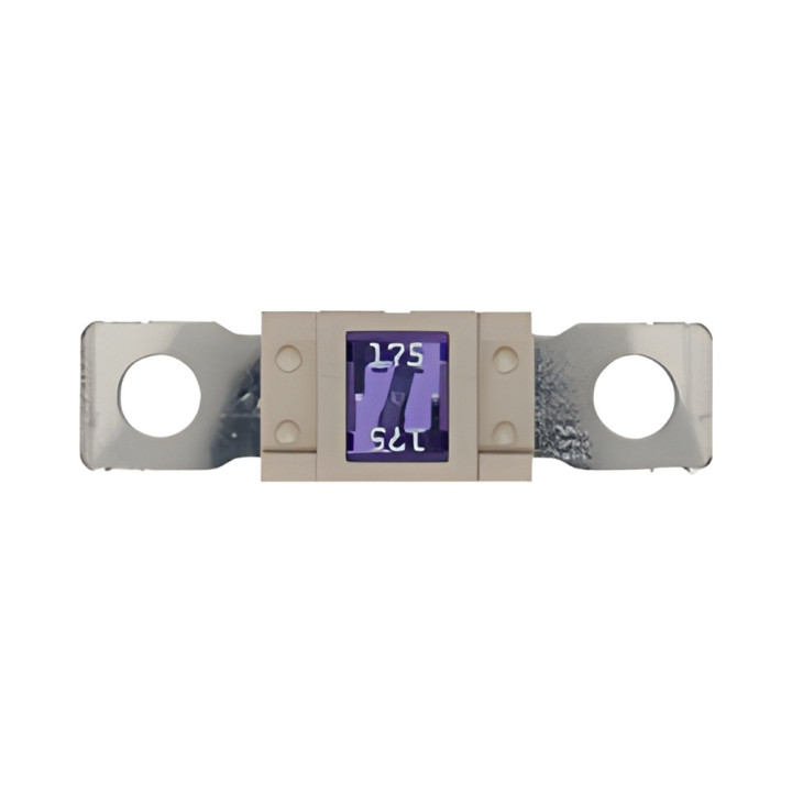 10 Fusibles Magnum 175A