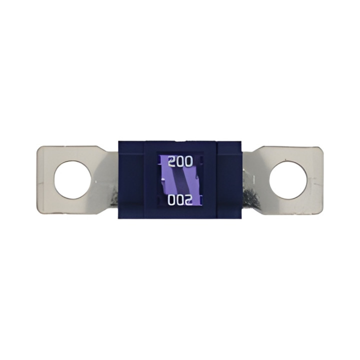10 Fusibles Magnum 200A