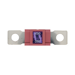 10 Fusibles Magnum 250A