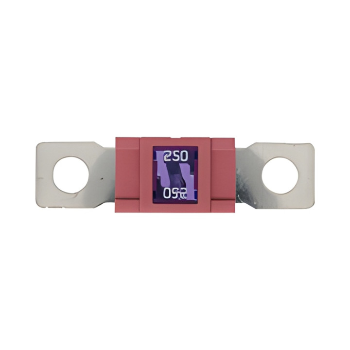 10 Fusibles Magnum 250A