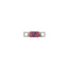 10 Fusibles Magnum 250A