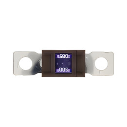 10 Fusibles Magnum 500A