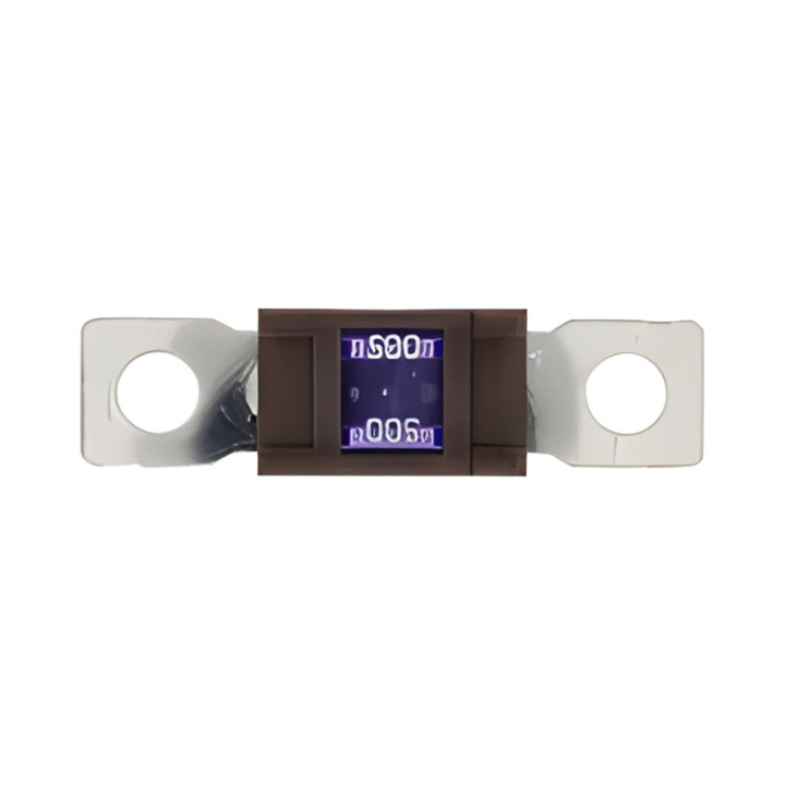 10 Fusibles Magnum 500A