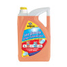 LAVE GLACE ETE RECHARGEABLE 5L + 1 PASTILLE OFFERTE