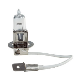 Ampoule H3 12V 55W PK22S - Ampoule Halogène de gyrophares tout vehicule
