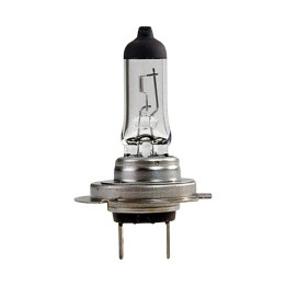Ampoule H7 55W 12V PX26D - Ampoule Halogène de gyrophares