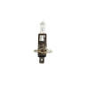 Ampoule H1 12V 55W P14.5S
