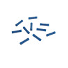 Bout a Bout - Bleu (Par 100)